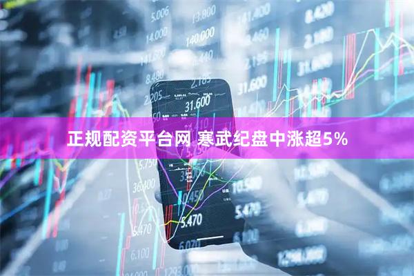 正规配资平台网 寒武纪盘中涨超5%