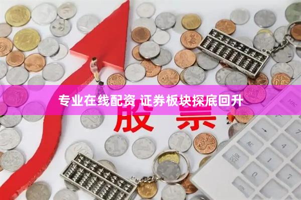 专业在线配资 证券板块探底回升