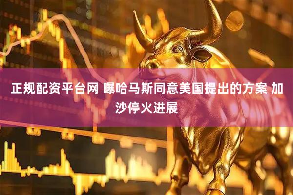 正规配资平台网 曝哈马斯同意美国提出的方案 加沙停火进展