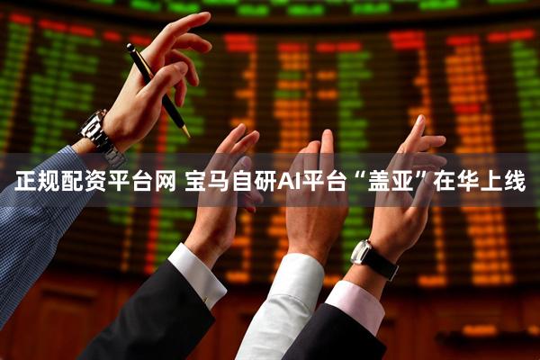 正规配资平台网 宝马自研AI平台“盖亚”在华上线
