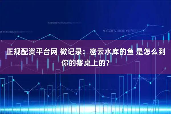 正规配资平台网 微记录：密云水库的鱼 是怎么到你的餐桌上的？