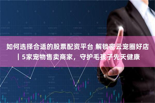 如何选择合适的股票配资平台 解锁密云宠圈好店｜5家宠物售卖商家，守护毛孩子先天健康