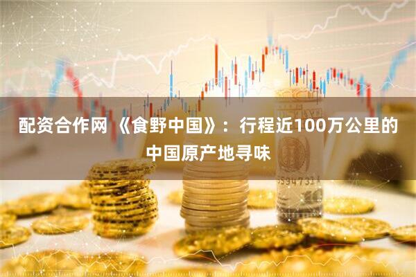 配资合作网 《食野中国》：行程近100万公里的中国原产地寻味